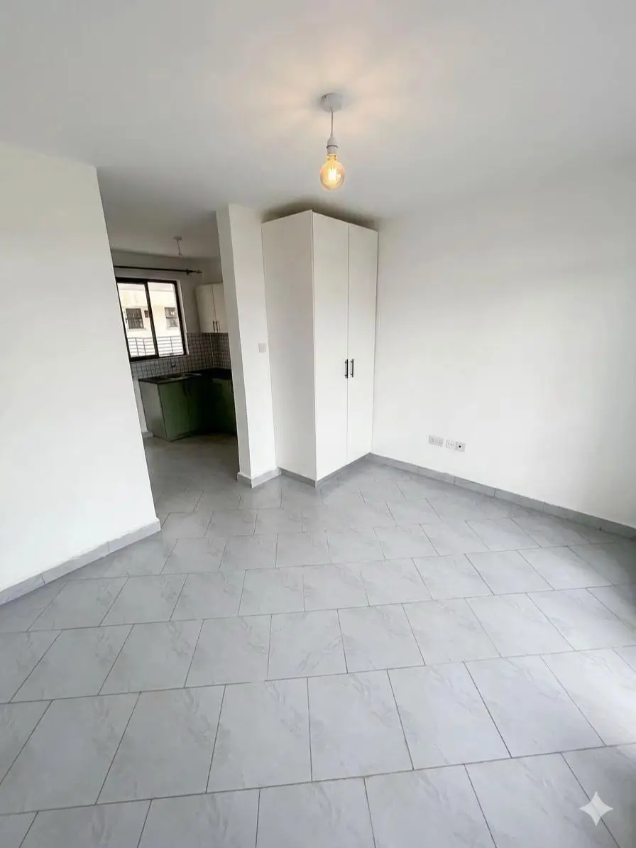 Open-plan living area with kitchen entrance and corner wardrobe