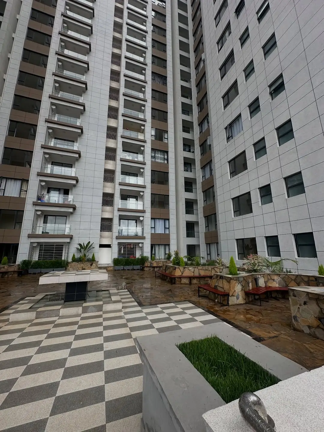 Courtyard garden with checkered paving and planted beds