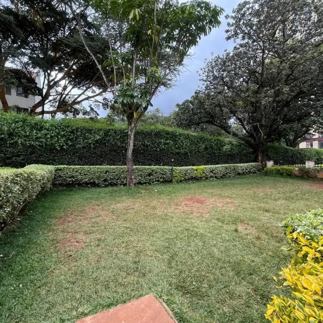 Spacious manicured lawn with mature trees and hedges