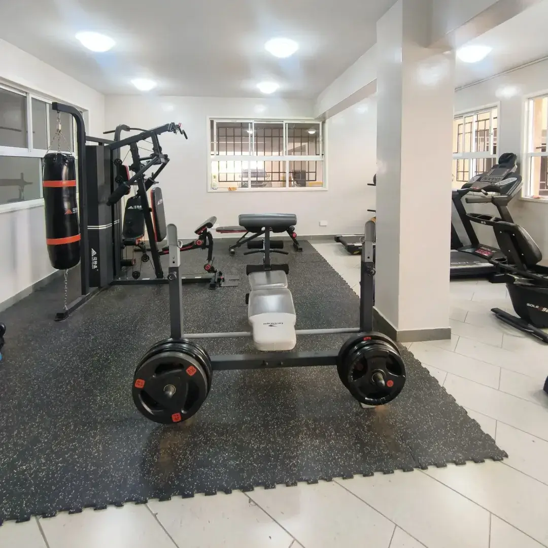 Well-equipped home gym with weights, machines, and cardio equipment